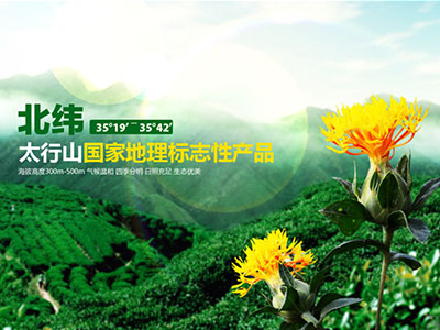 亿码科技西安网站设计|西安网站制作|西安网站开发|西安网站建设企业官网建设